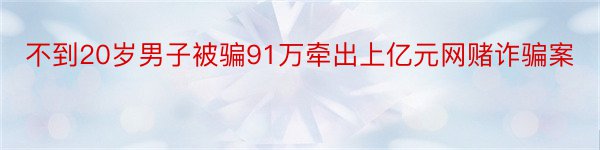 不到20岁男子被骗91万牵出上亿元网赌诈骗案