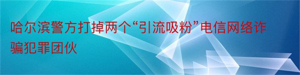 哈尔滨警方打掉两个“引流吸粉”电信网络诈骗犯罪团伙