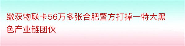 缴获物联卡56万多张合肥警方打掉一特大黑色产业链团伙