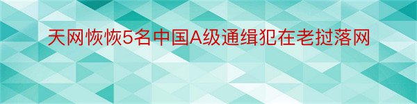 天网恢恢5名中国A级通缉犯在老挝落网