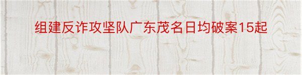 组建反诈攻坚队广东茂名日均破案15起