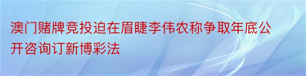 澳门赌牌竞投迫在眉睫李伟农称争取年底公开咨询订新博彩法