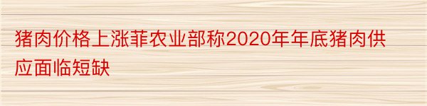 猪肉价格上涨菲农业部称2020年年底猪肉供应面临短缺