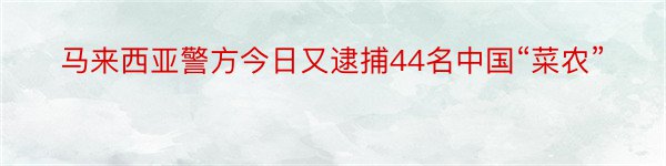 马来西亚警方今日又逮捕44名中国“菜农”