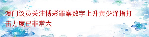 澳门议员关注博彩罪案数字上升黄少泽指打击力度已非常大