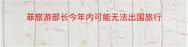 菲旅游部长今年内可能无法出国旅行