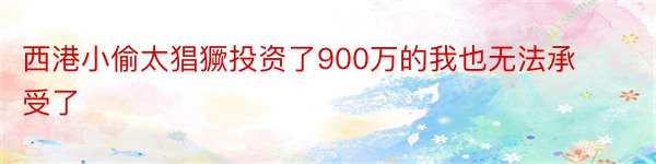 西港小偷太猖獗投资了900万的我也无法承受了