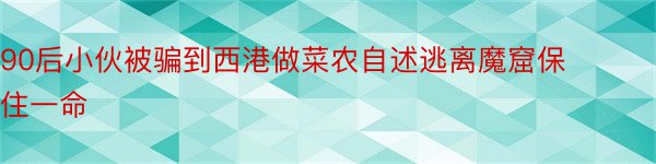 90后小伙被骗到西港做菜农自述逃离魔窟保住一命