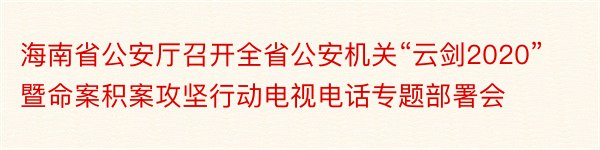 海南省公安厅召开全省公安机关“云剑2020”暨命案积案攻坚行动电视电话专题部署会