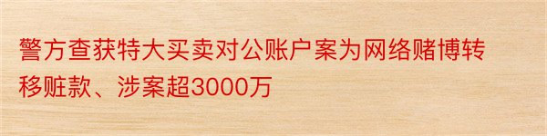 警方查获特大买卖对公账户案为网络赌博转移赃款、涉案超3000万