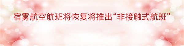 宿雾航空航班将恢复将推出“非接触式航班”