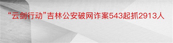 “云剑行动”吉林公安破网诈案543起抓2913人