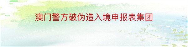 澳门警方破伪造入境申报表集团