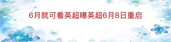 6月就可看英超曝英超6月8日重启