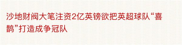 沙地财阀大笔注资2亿英镑欲把英超球队“喜鹊”打造成争冠队