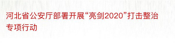 河北省公安厅部署开展“亮剑2020”打击整治专项行动