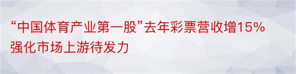 “中国体育产业第一股”去年彩票营收增15％强化市场上游待发力