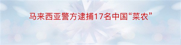 马来西亚警方逮捕17名中国“菜农”