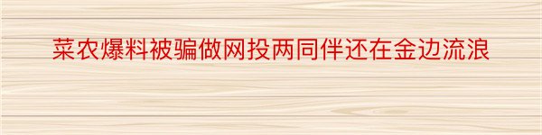 菜农爆料被骗做网投两同伴还在金边流浪