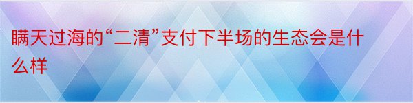 瞒天过海的“二清”支付下半场的生态会是什么样