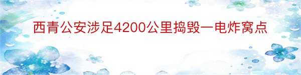 西青公安涉足4200公里捣毁一电炸窝点