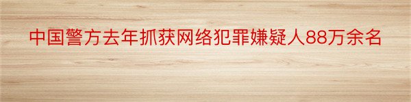 中国警方去年抓获网络犯罪嫌疑人88万余名