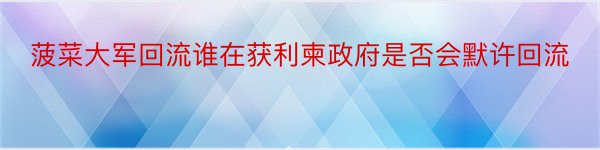 菠菜大军回流谁在获利柬政府是否会默许回流