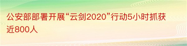 公安部部署开展“云剑2020”行动5小时抓获近800人