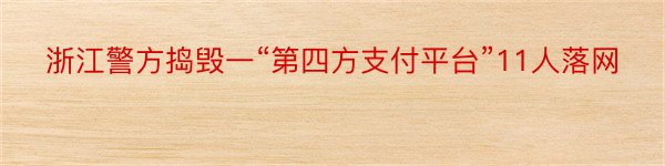 浙江警方捣毁一“第四方支付平台”11人落网