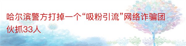 哈尔滨警方打掉一个“吸粉引流”网络诈骗团伙抓33人