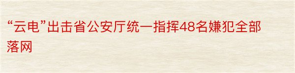 “云电”出击省公安厅统一指挥48名嫌犯全部落网