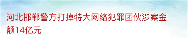 河北邯郸警方打掉特大网络犯罪团伙涉案金额14亿元