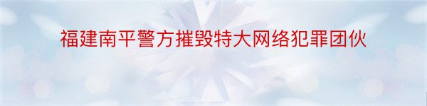 福建南平警方摧毁特大网络犯罪团伙