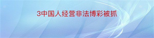 3中国人经营非法博彩被抓