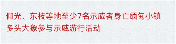 仰光、东枝等地至少7名示威者身亡缅甸小镇多头大象参与示威游行活动