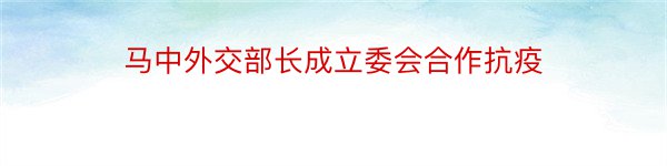 马中外交部长成立委会合作抗疫