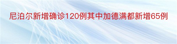 尼泊尔新增确诊120例其中加德满都新增65例