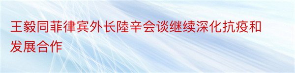 王毅同菲律宾外长陸辛会谈继续深化抗疫和发展合作