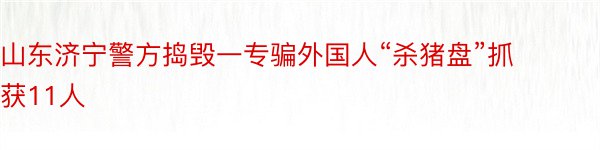 山东济宁警方捣毁一专骗外国人“杀猪盘”抓获11人