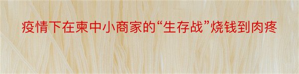 疫情下在柬中小商家的“生存战”烧钱到肉疼