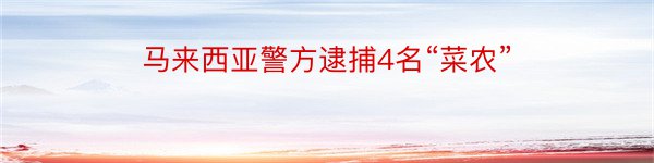 马来西亚警方逮捕4名“菜农”