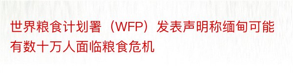 世界粮食计划署（WFP）发表声明称缅甸可能有数十万人面临粮食危机