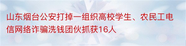 山东烟台公安打掉一组织高校学生、农民工电信网络诈骗洗钱团伙抓获16人