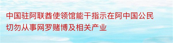 中国驻阿联酋使领馆能干指示在阿中国公民切勿从事网罗赌博及相关产业