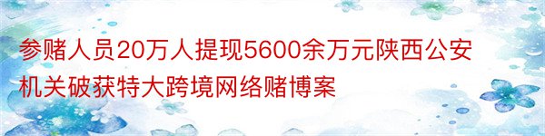 参赌人员20万人提现5600余万元陕西公安机关破获特大跨境网络赌博案