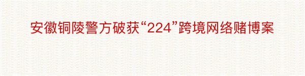 安徽铜陵警方破获“224”跨境网络赌博案