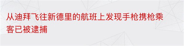 从迪拜飞往新德里的航班上发现手枪携枪乘客已被逮捕