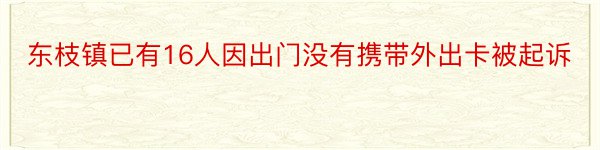 东枝镇已有16人因出门没有携带外出卡被起诉