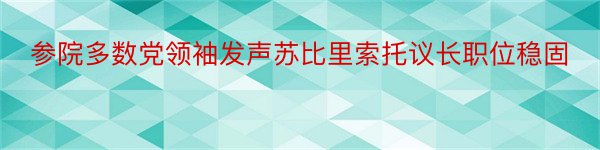 参院多数党领袖发声苏比里索托议长职位稳固