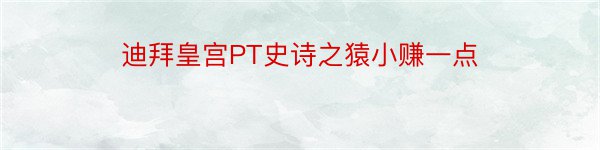 迪拜皇宫PT史诗之猿小赚一点